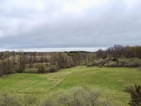 3131 S Lapeer Road, Metamora, MI 48455