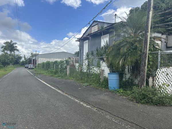 km 2.5 SEC. BUENAVISTA, Unit PR 370, Las Marias, PR 00670