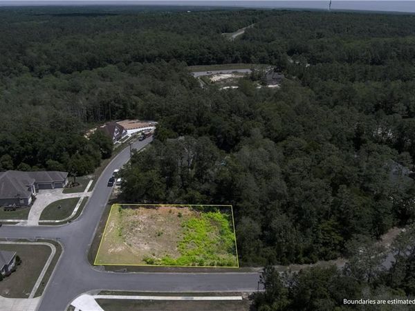 0 Stone Mill Drive, Mobile, AL 36619