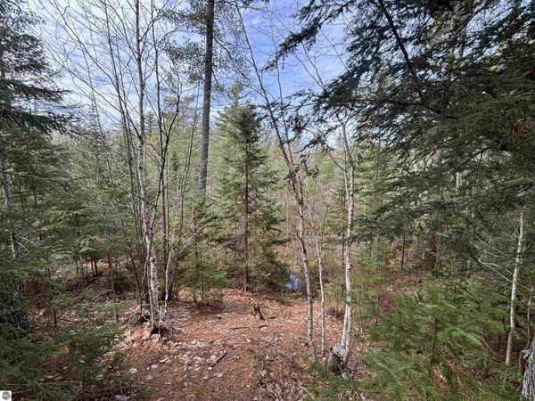 280 H-40, Rudyard, MI 49780