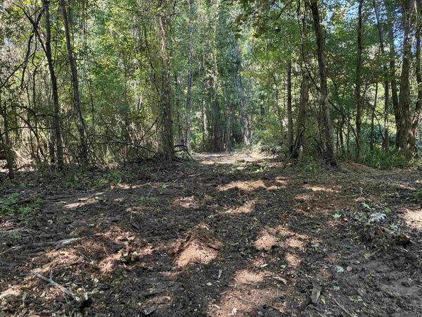 7889 Solitude Rd, St Francisville, LA 70775