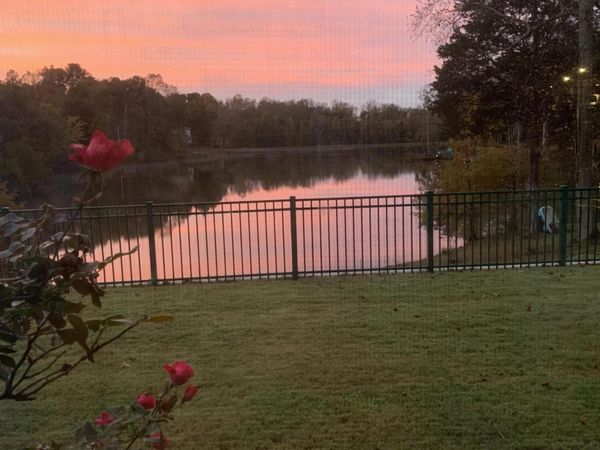 973 Old Lavinia Road, Cedar Grove, TN 38321