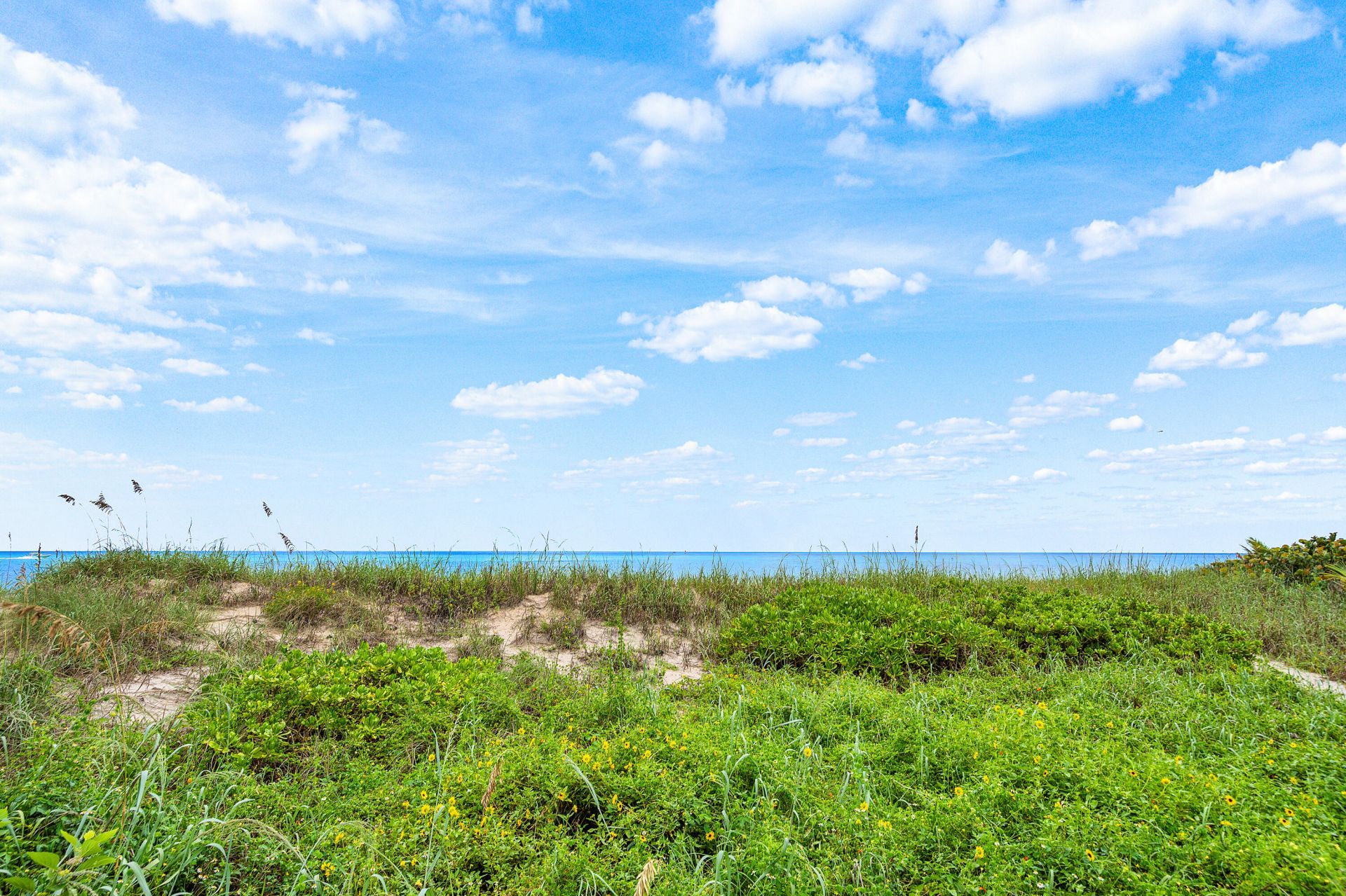 1906 Bay Drive, Pompano Beach, FL 33062 Photo