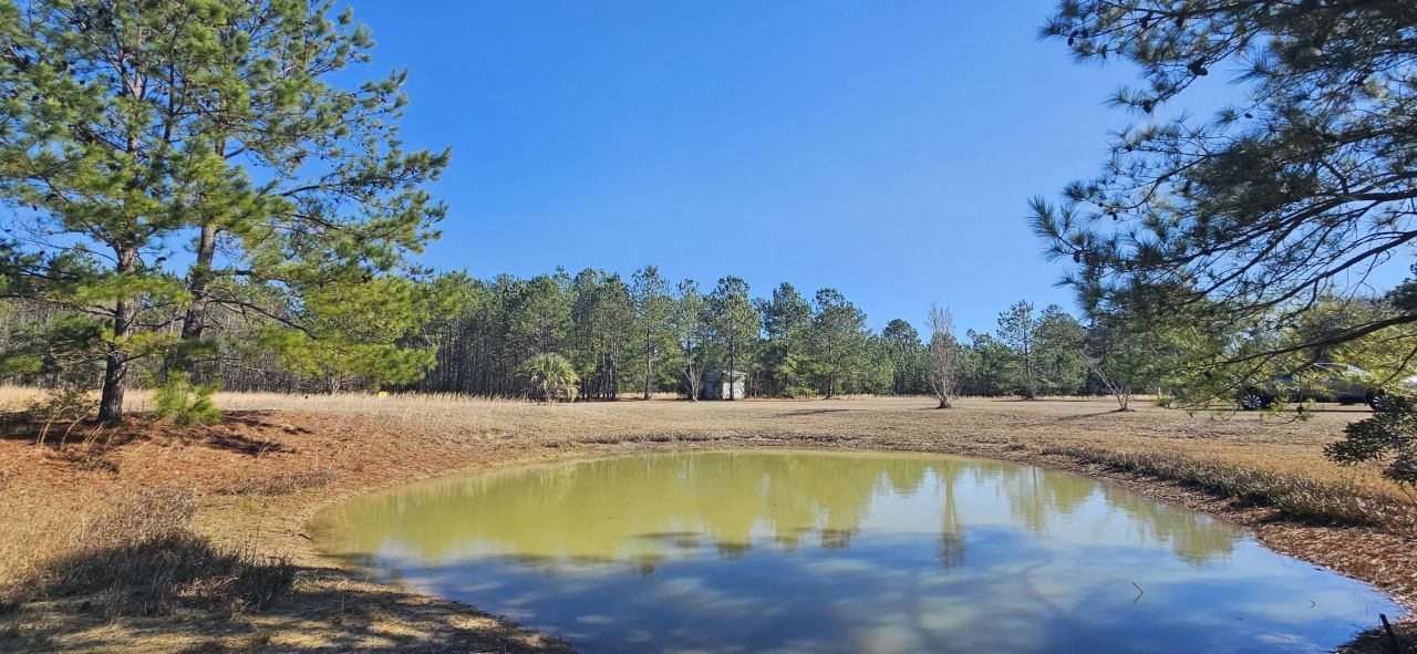 280 Royalegates Court Photo 5