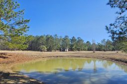 280 Royalegates Court photo 4