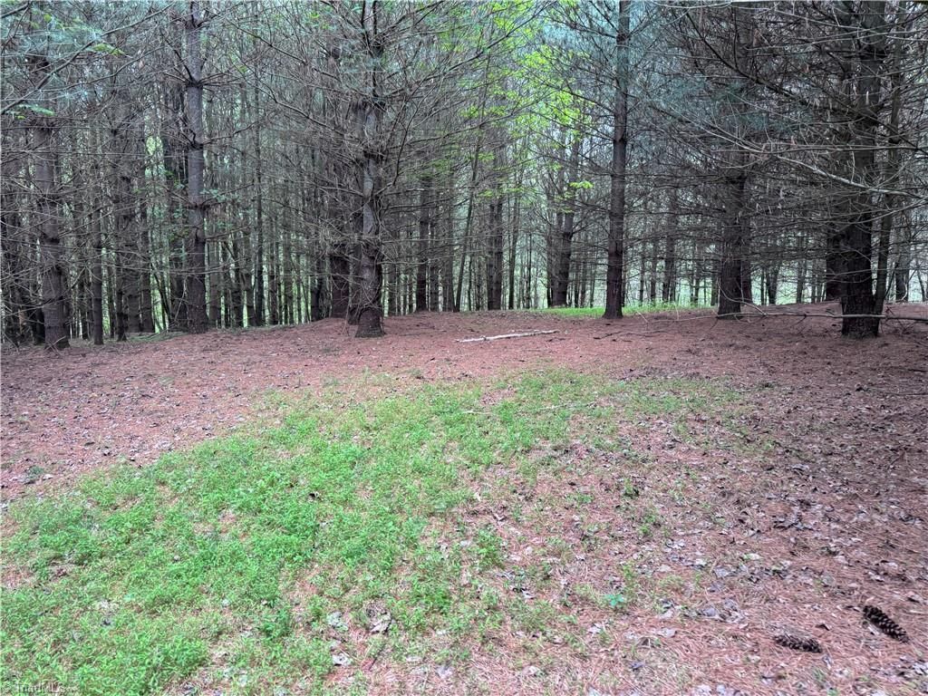 X Green Meadow Lane, Lot #5 Ac S, Ararat, NC 27007 Main Photo