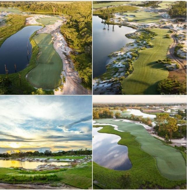 11157 Price Lane, Myakka City, FL 34251 Photo