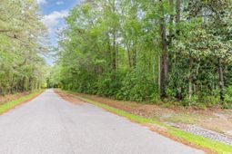 Tbd Paul St. photo 4