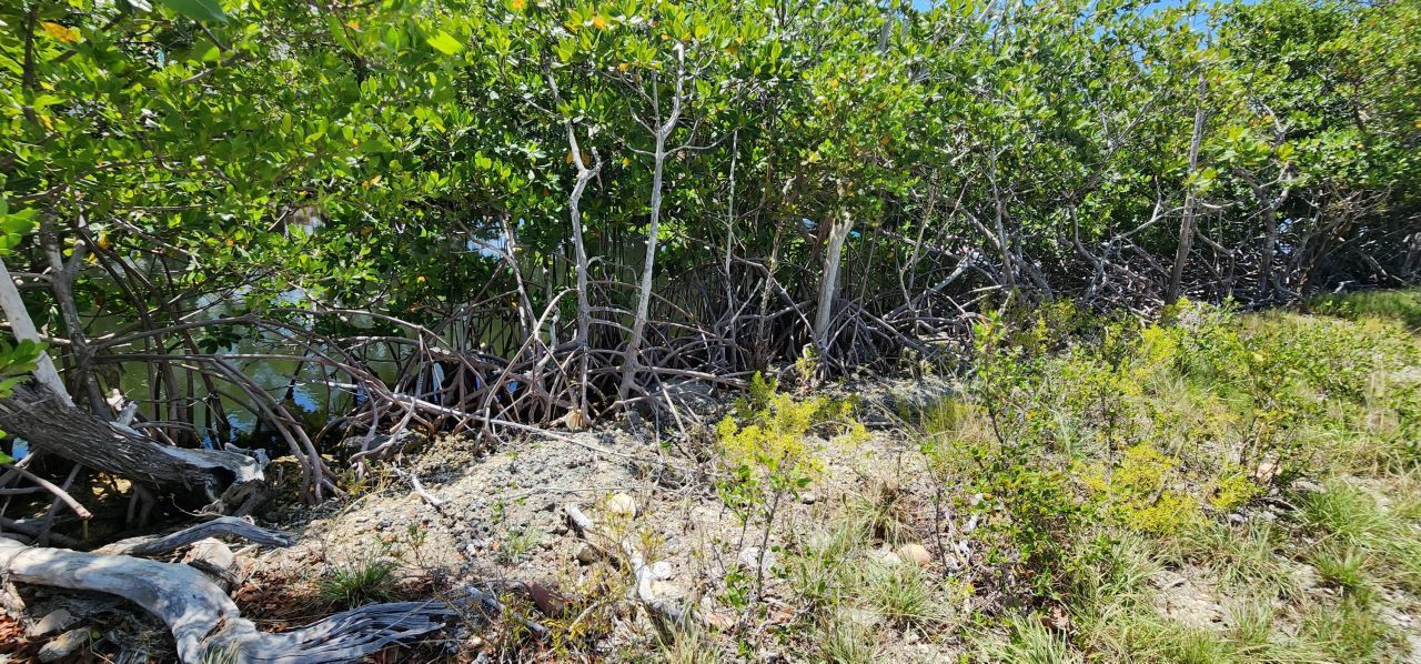 Bk 7 Lt 5 Coral Way, Big Pine Key, FL 33043 Photo