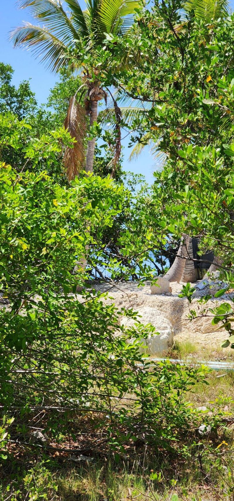 Bk 7 Lt 5 Coral Way, Big Pine Key, FL 33043 Photo