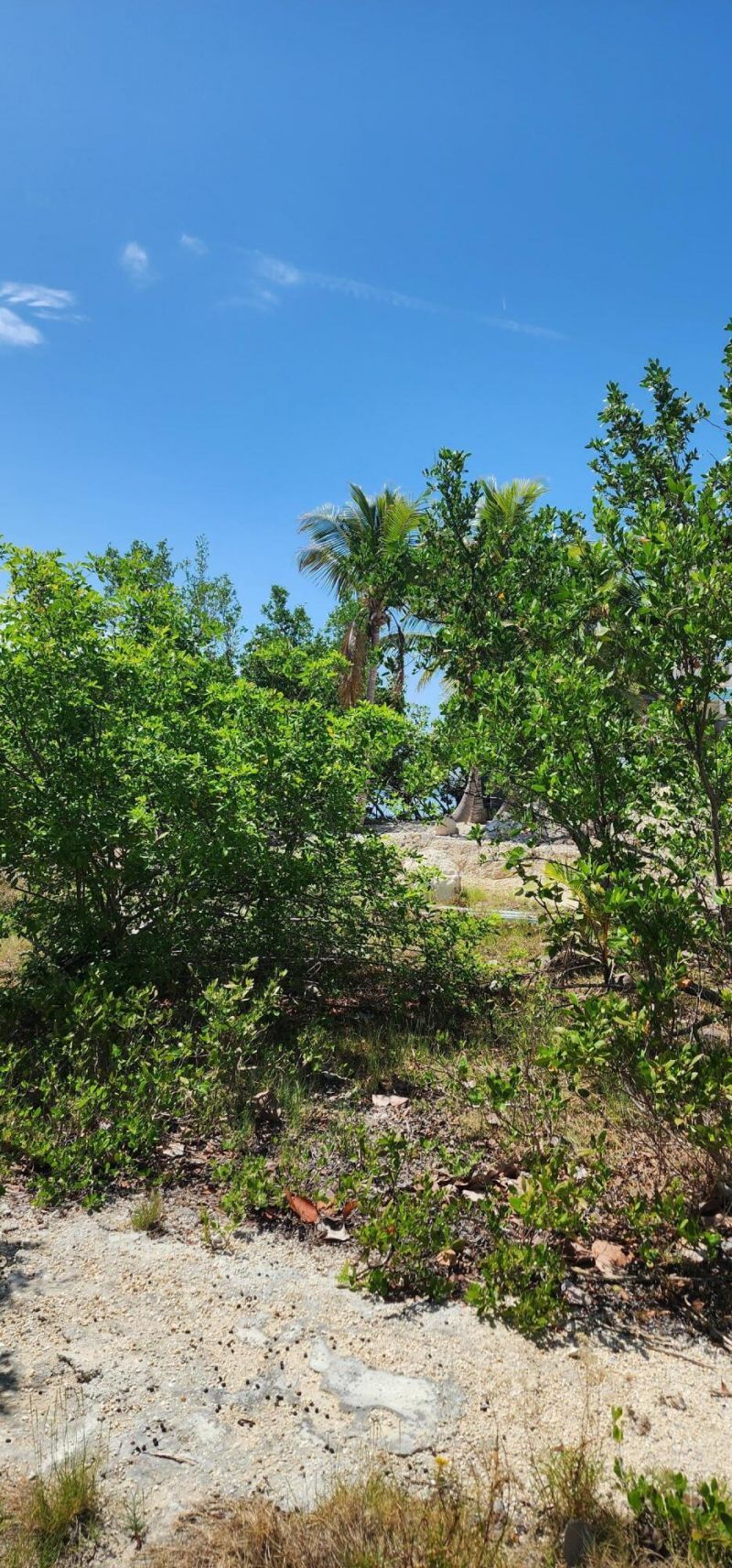 Bk 7 Lt 6 Coral Way, Big Pine Key, FL 33043 Photo