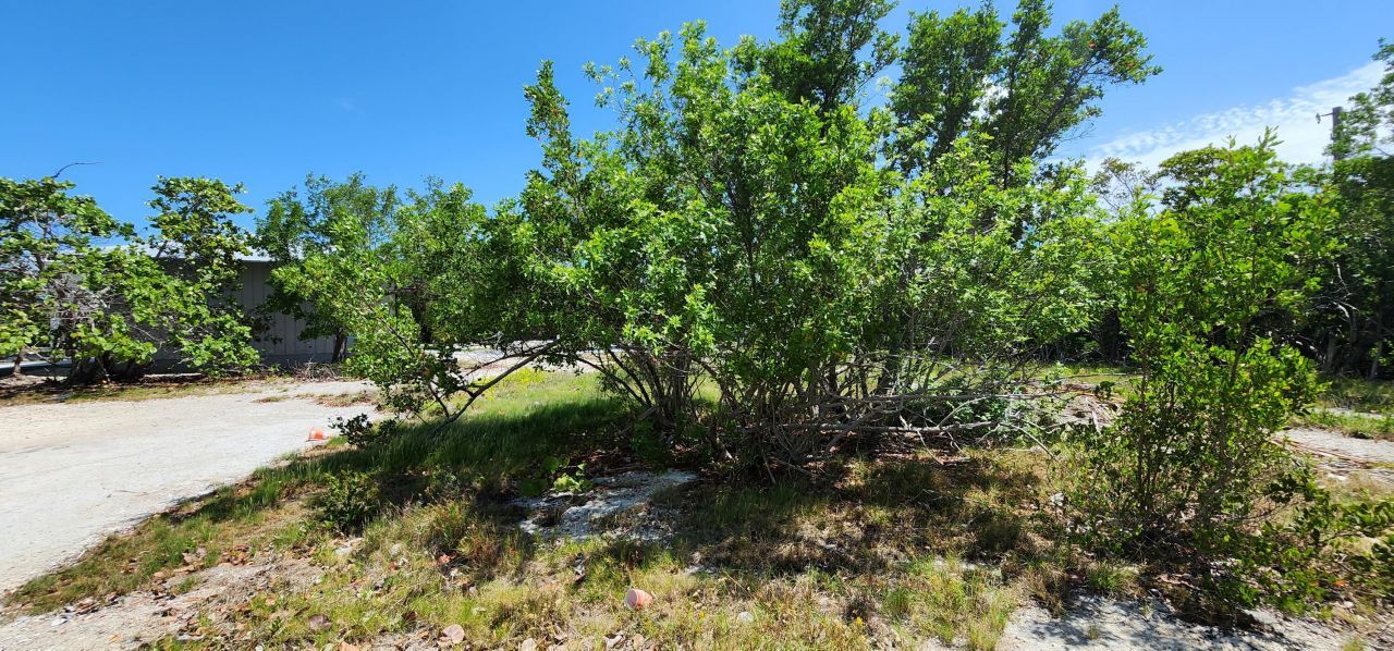 Bk 7 Lt 6 Coral Way, Big Pine Key, FL 33043 Photo