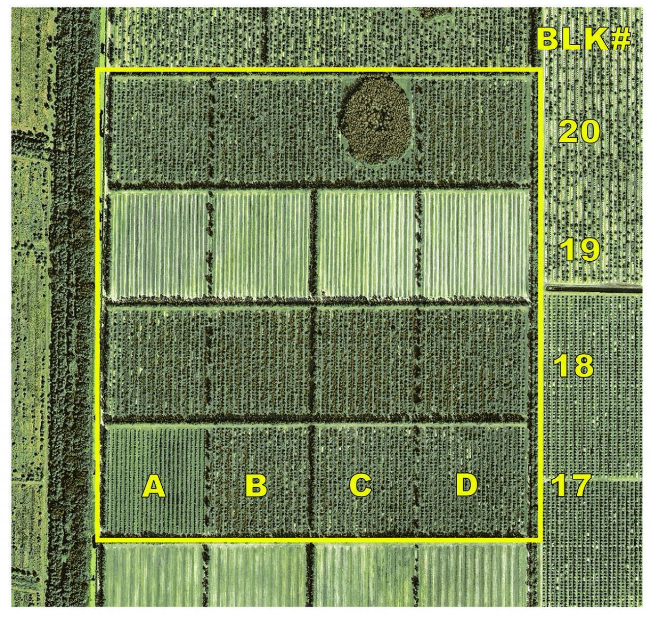 Tbd Orange Avenue Extension, Fort Pierce, FL 34945 Photo