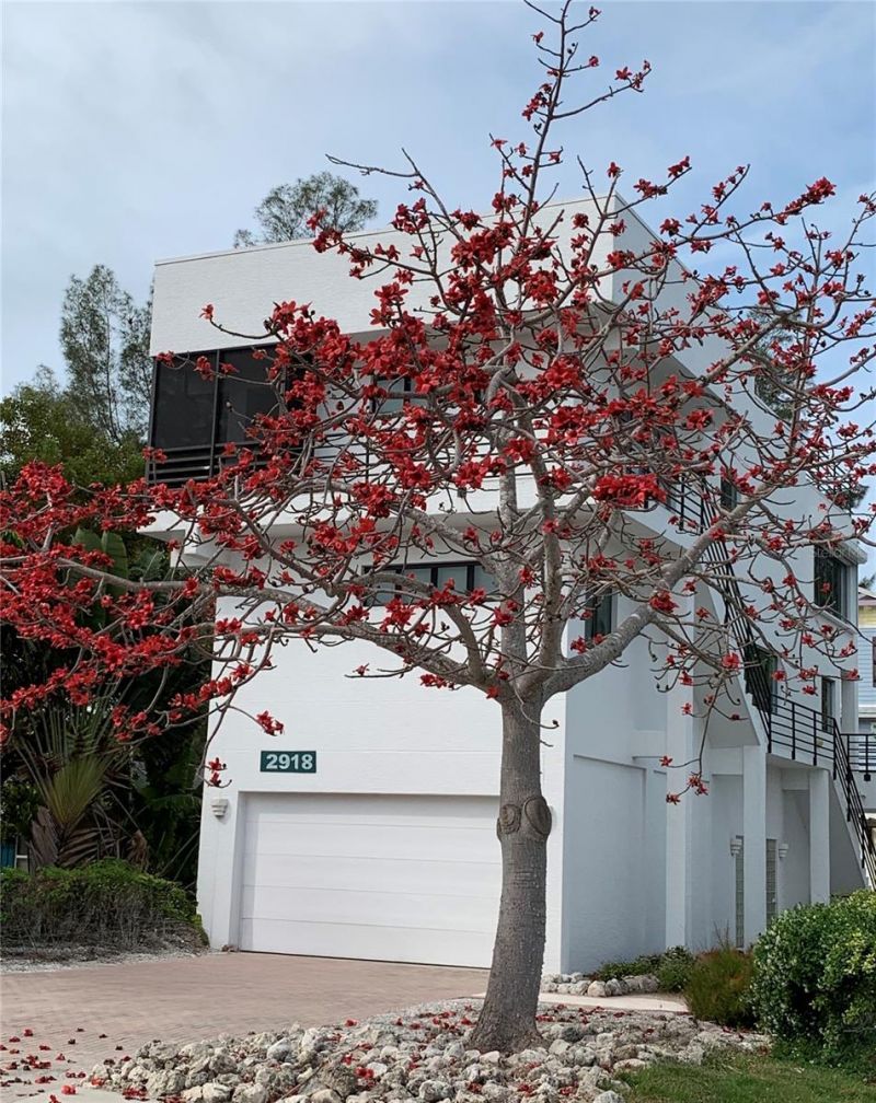 2918 Avenue E, Holmes Beach, FL 34217 Photo