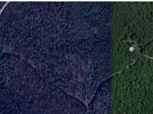 Tract AAAAAA-4 off of Crumpler Cemetery Drive, Lead Hill, AR 72644