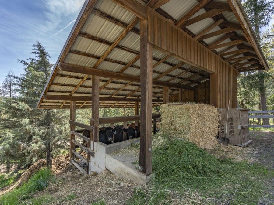 Property Image 58