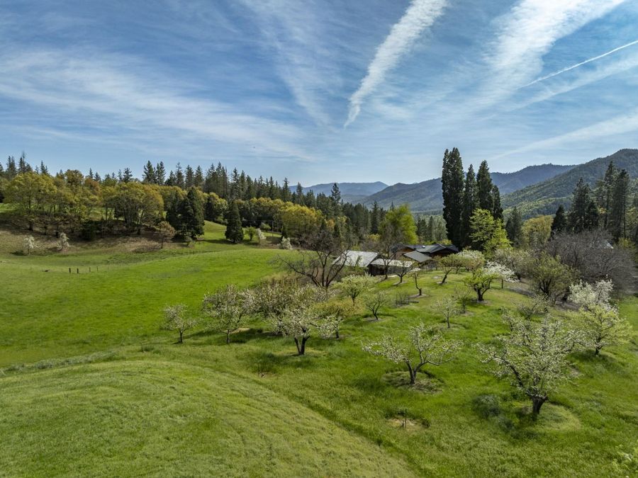 Property Image 62