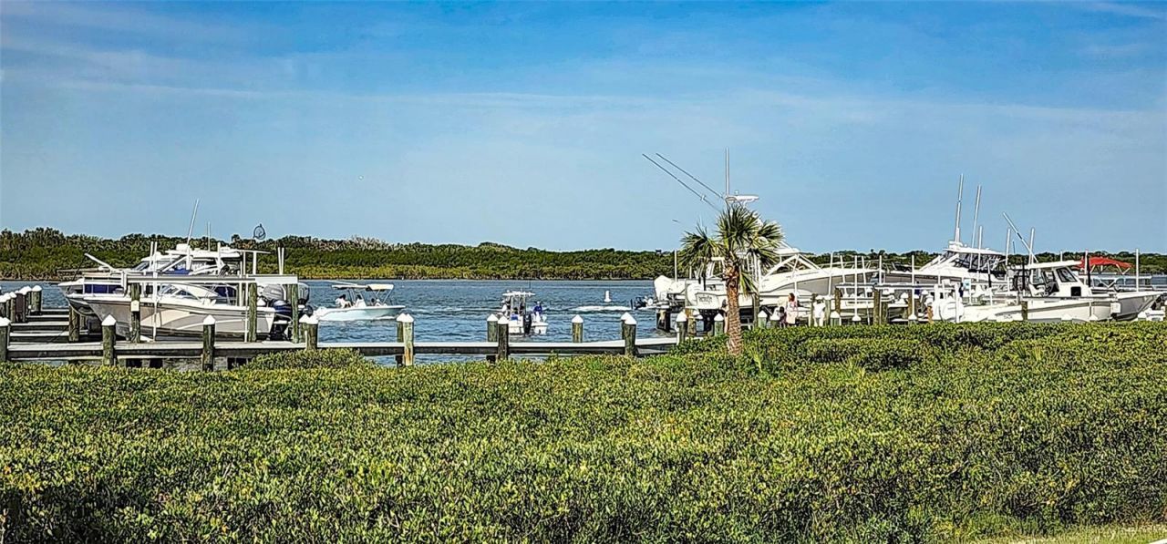 2700 N Peninsula Avenue, Unit 113, New Smyrna Beach, FL 32169 Photo