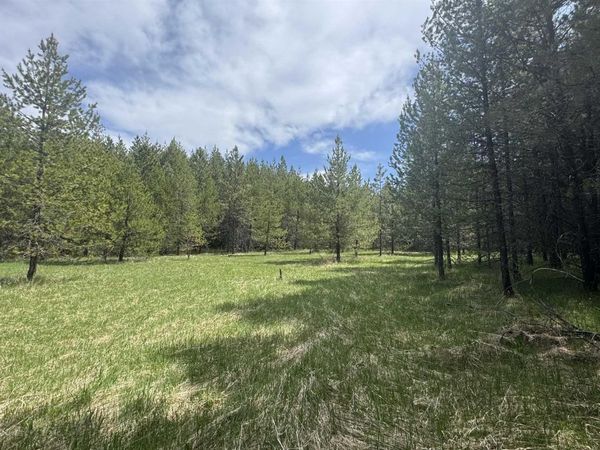 TBD Parcel 17-Bandmill Heights, Orofino, ID 83554