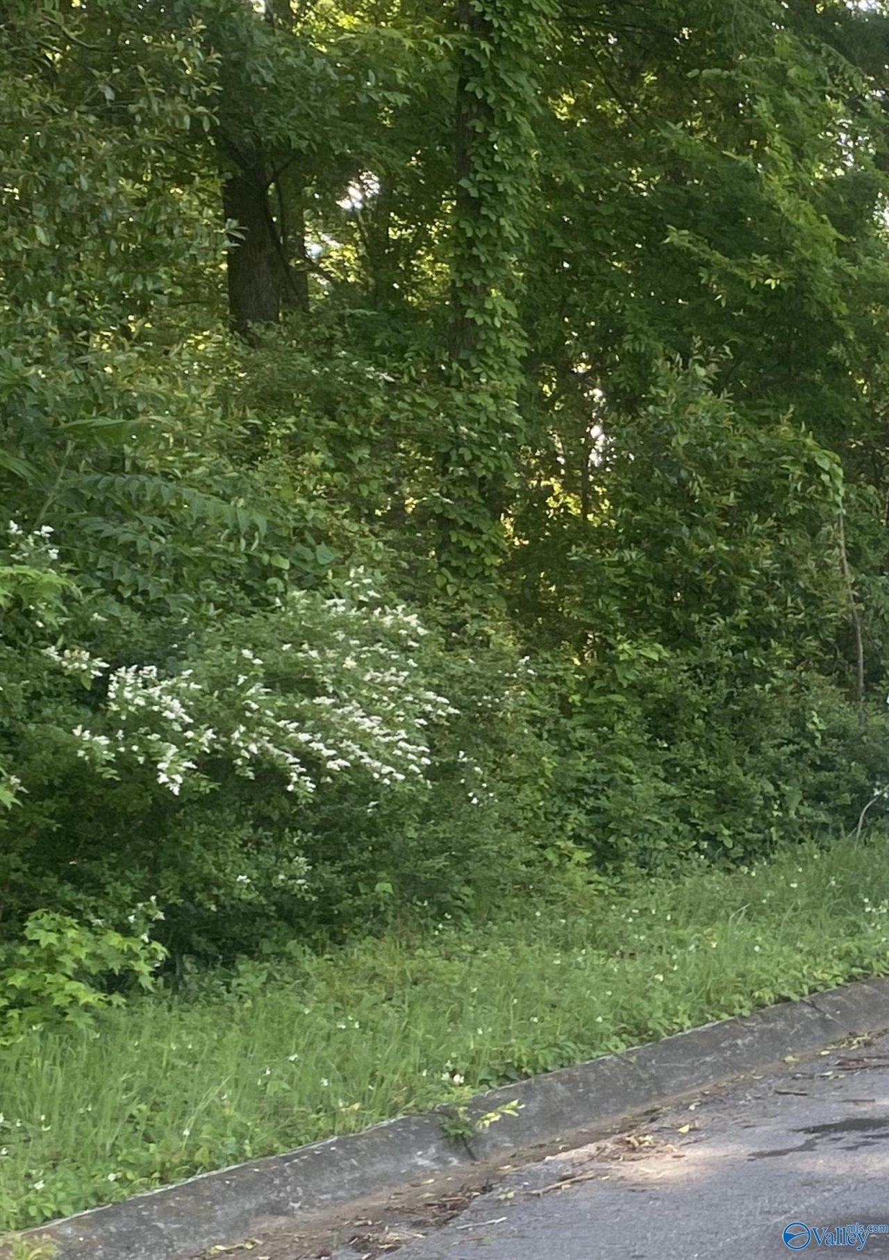 Lot 10-11 Blair Street S, Florence, AL 35630 Main Photo