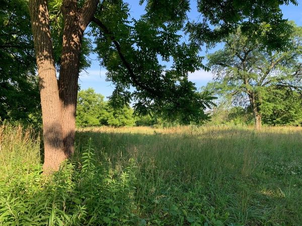 3523 Long Grove Road, Long Grove, IL 60047