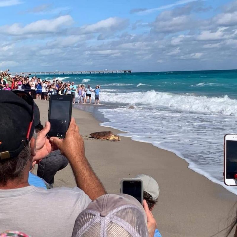 100 Ocean Trail Way, Unit 301, Jupiter, FL 33477 Photo