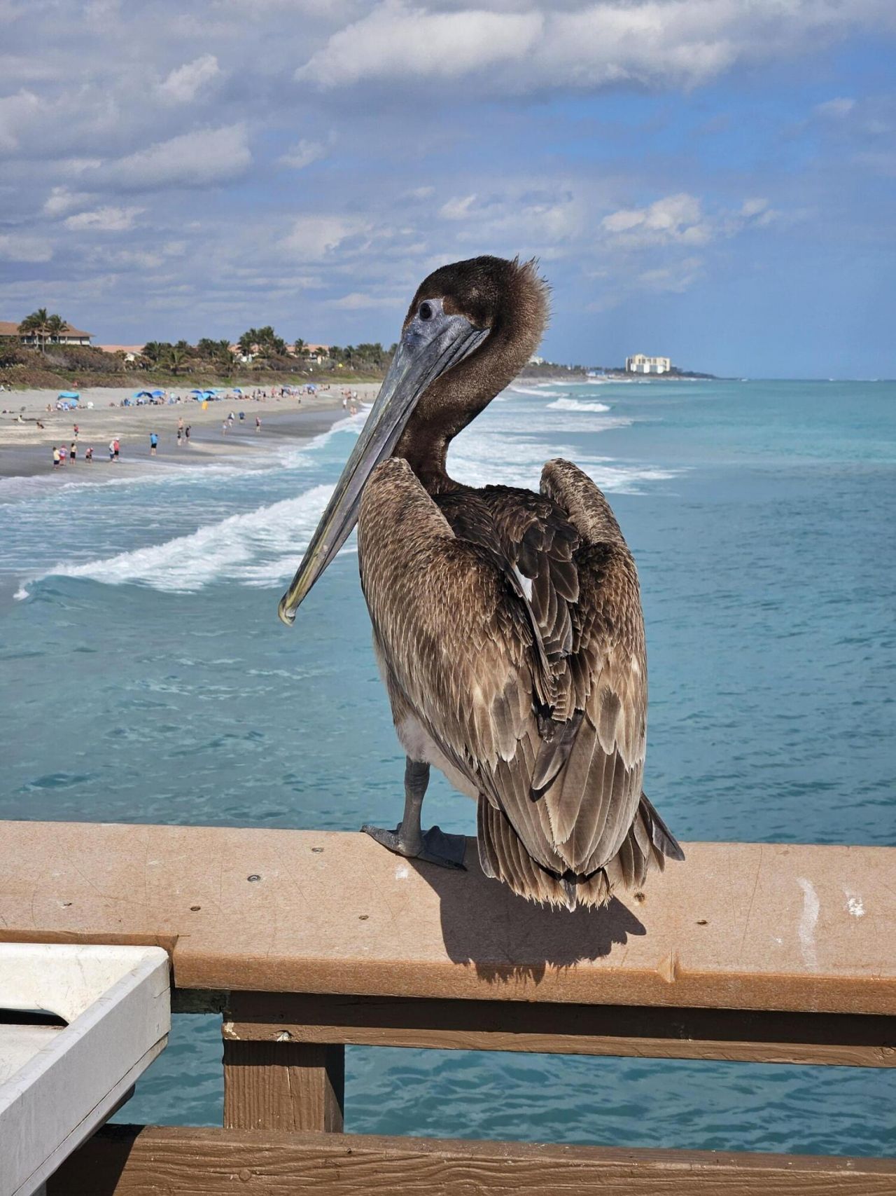 100 Ocean Trail Way, Unit 301, Jupiter, FL 33477 Photo