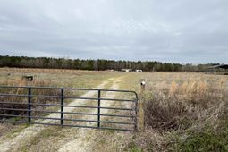 Tbd Powell Rd. photo 4