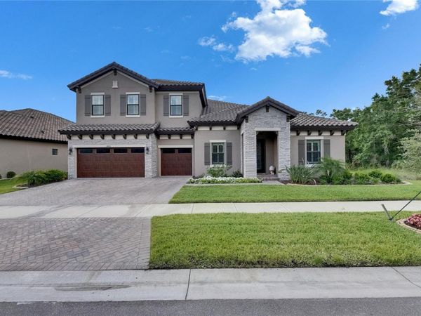 14421 SWISS BRIDGE DRIVE, LITHIA, FL 33547