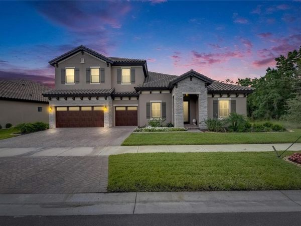 14421 SWISS BRIDGE DRIVE, LITHIA, FL 33547