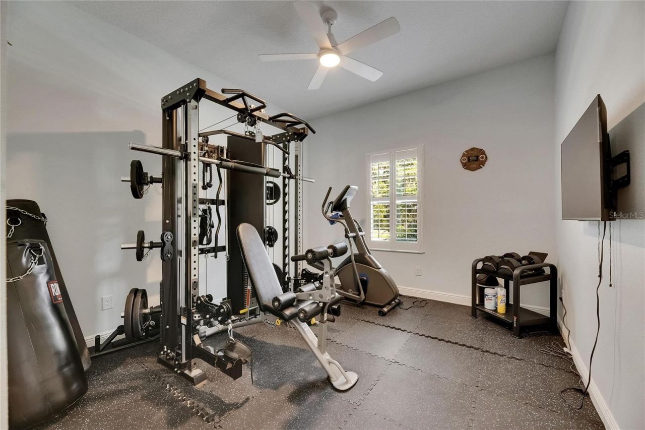 14421 Swiss Bridge Drive, Lithia, FL 33547 Photo