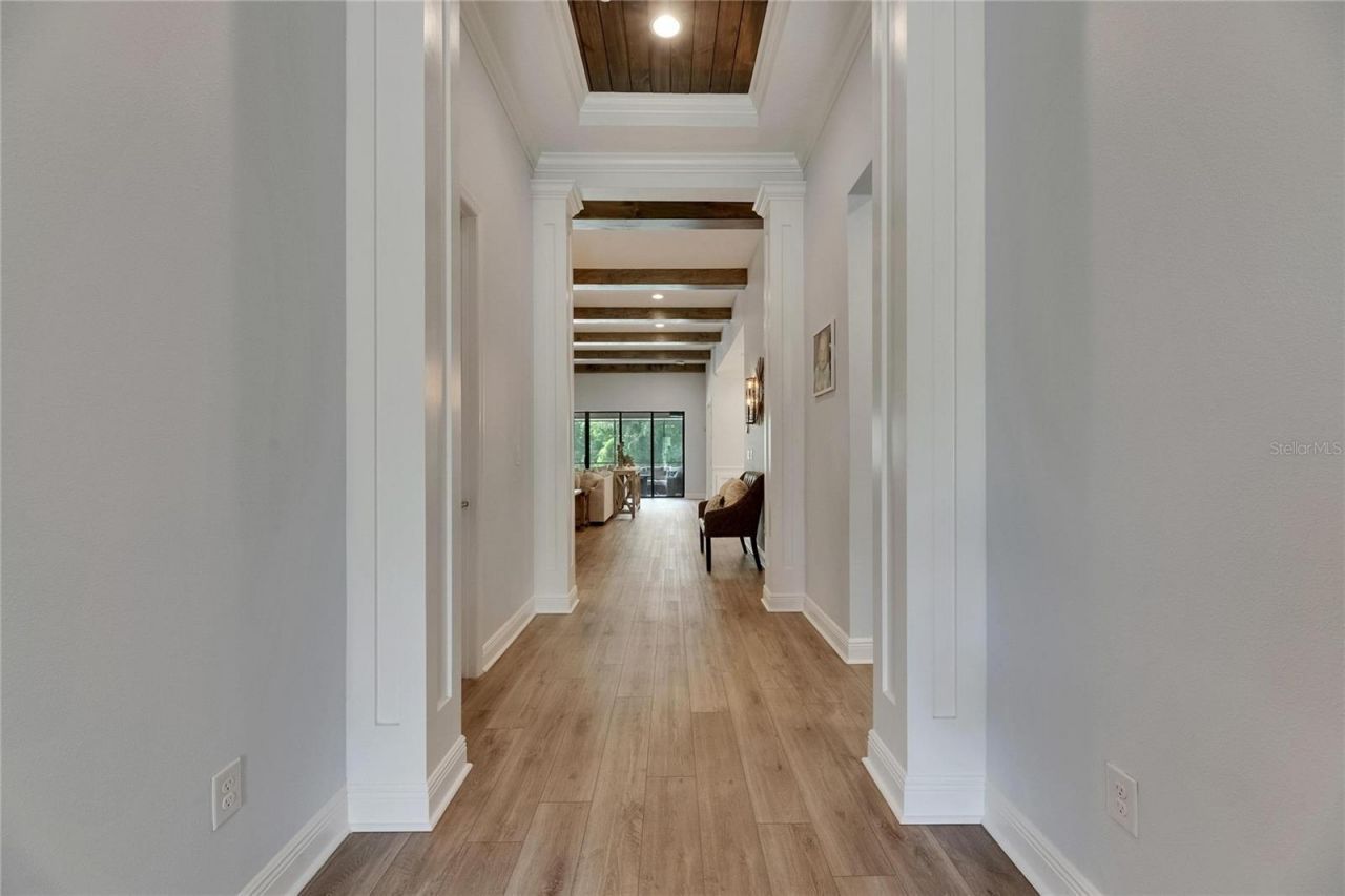 14421 Swiss Bridge Drive, Lithia, FL 33547 Photo