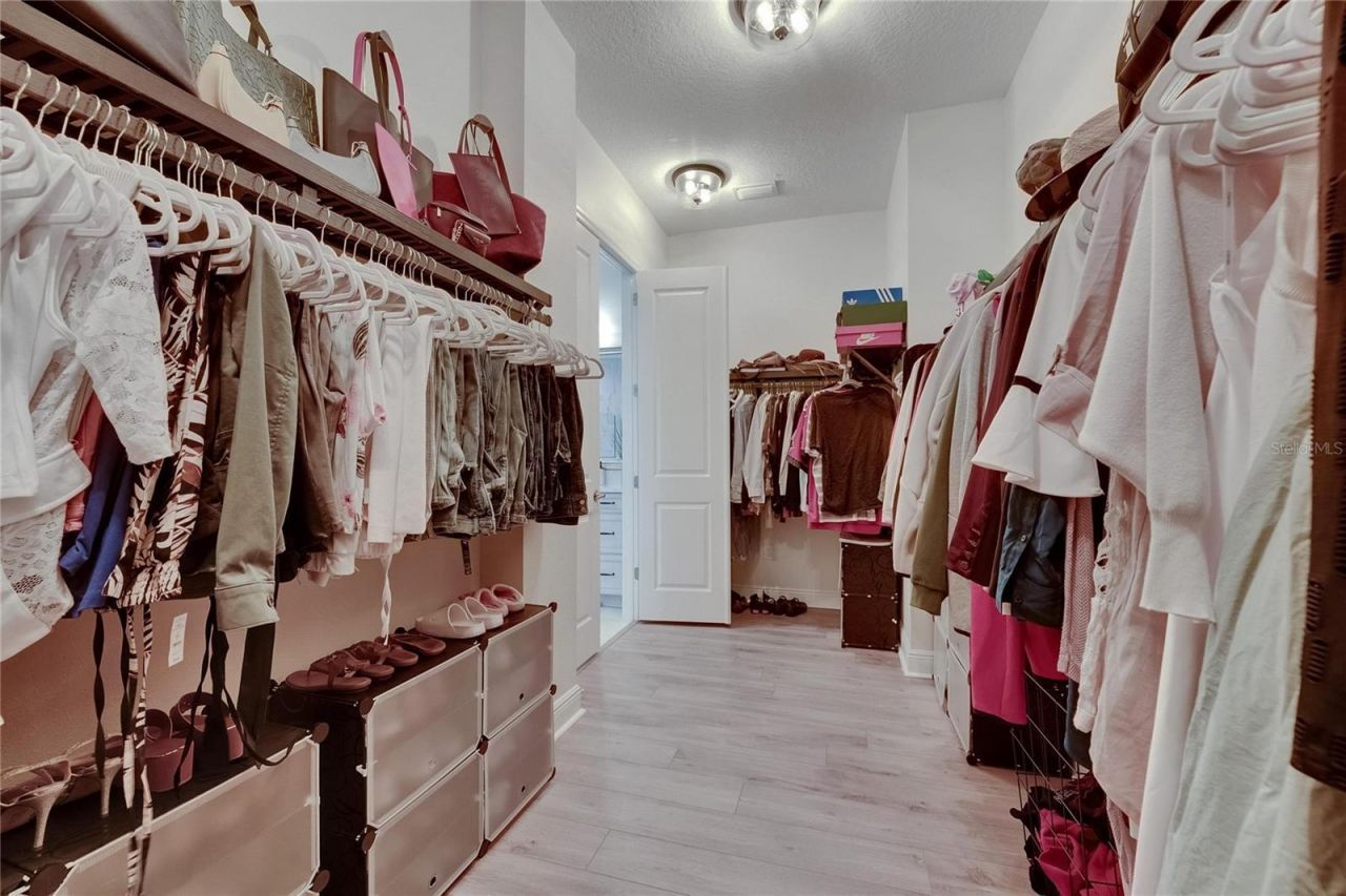 14421 Swiss Bridge Drive, Lithia, FL 33547 Photo