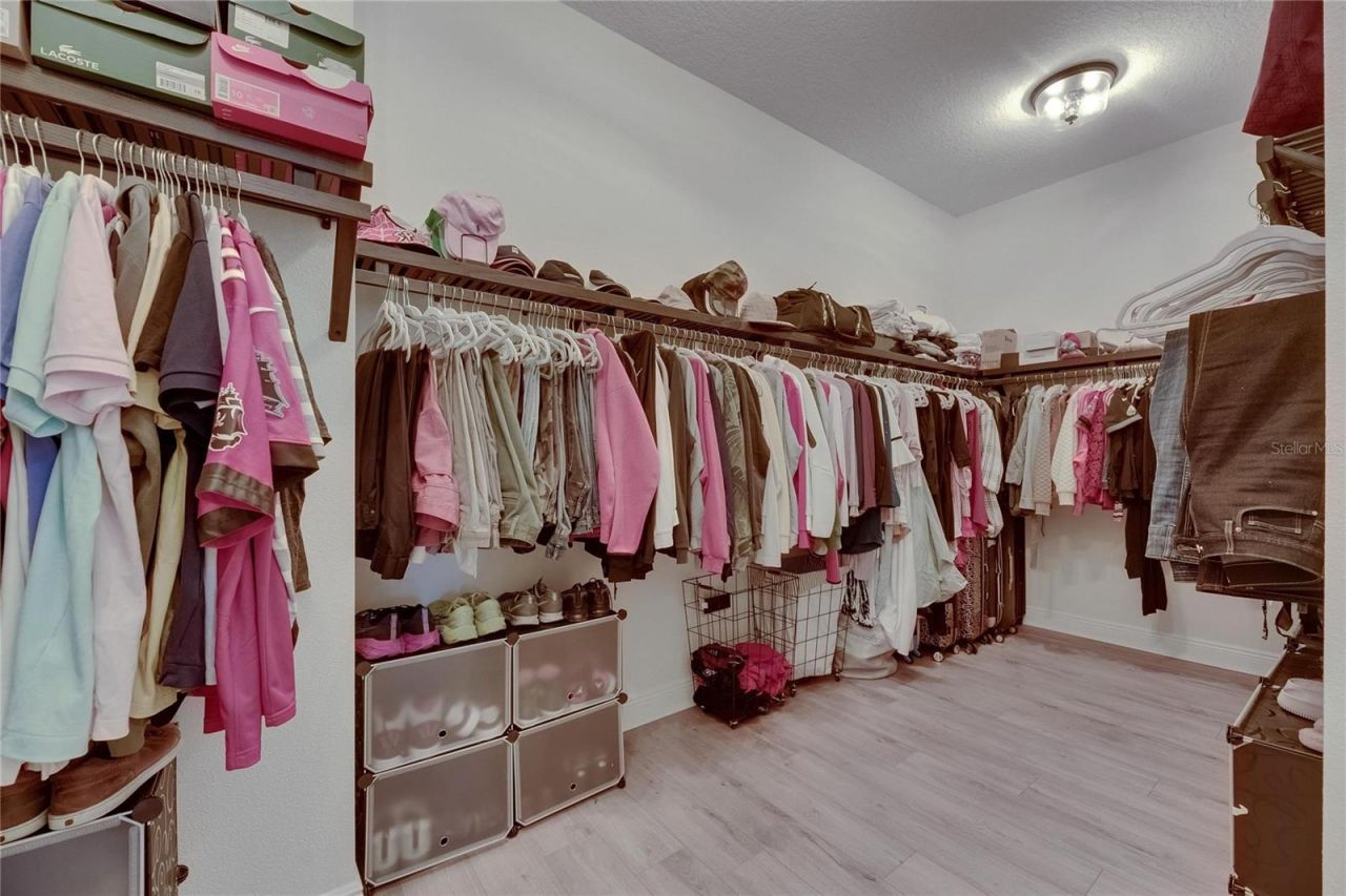 14421 Swiss Bridge Drive, Lithia, FL 33547 Photo