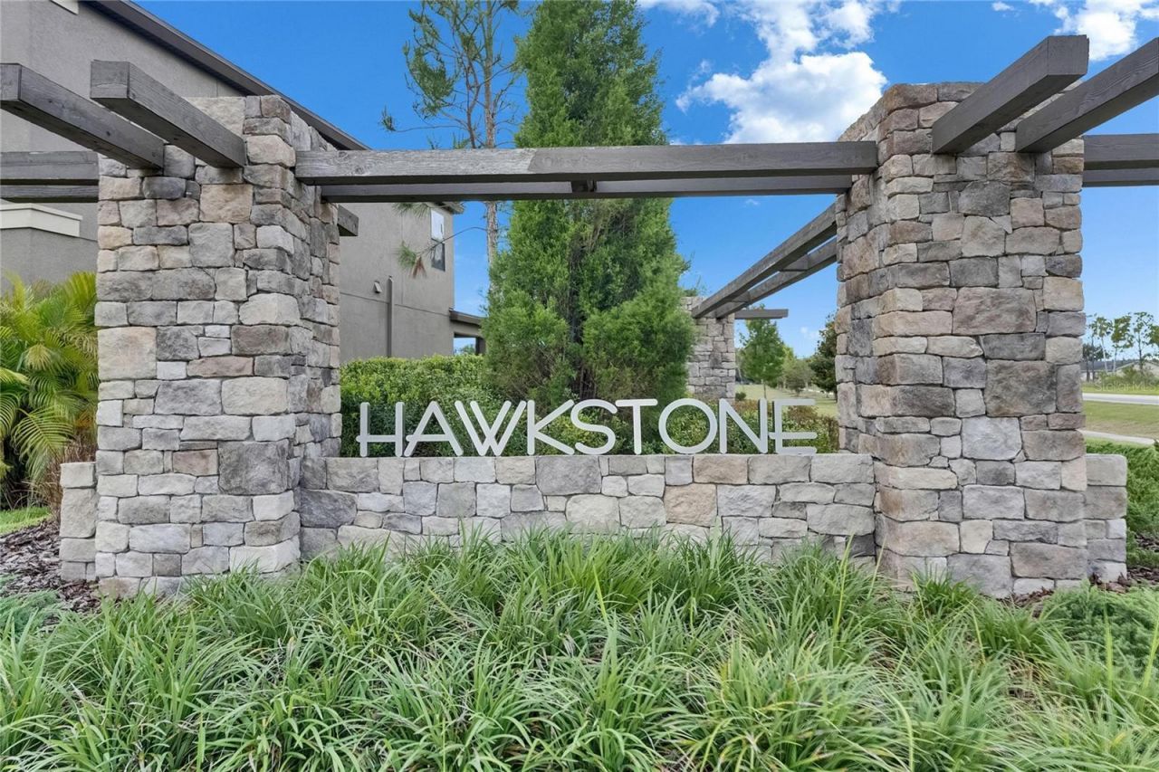 14421 Swiss Bridge Drive, Lithia, FL 33547 Photo