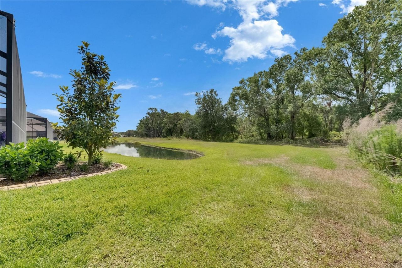 14421 Swiss Bridge Drive, Lithia, FL 33547 Photo