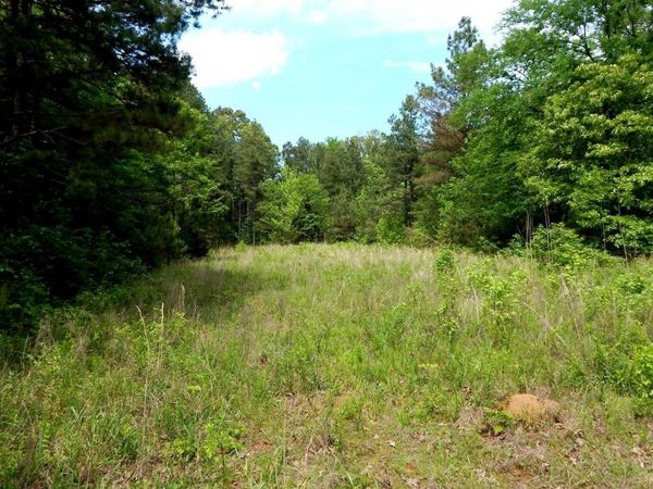 1079 Saulsbury Road, Falkner, MS 38629