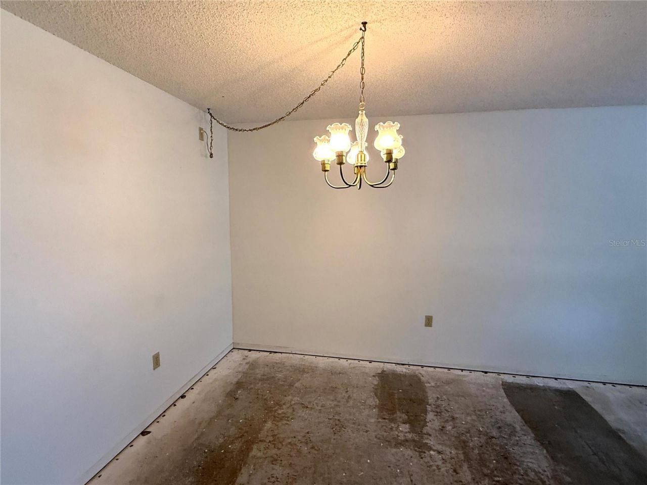 425 30th Avenue W, Unit C204, Bradenton, FL 34205 Photo