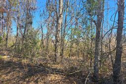 S-38-200 Laval Road photo 4