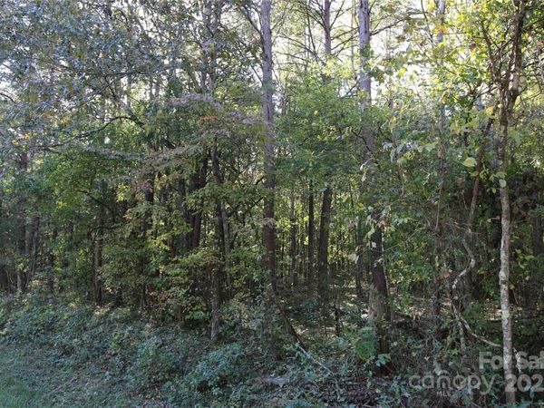 0 Tobas Road, Rockwell, NC 28138