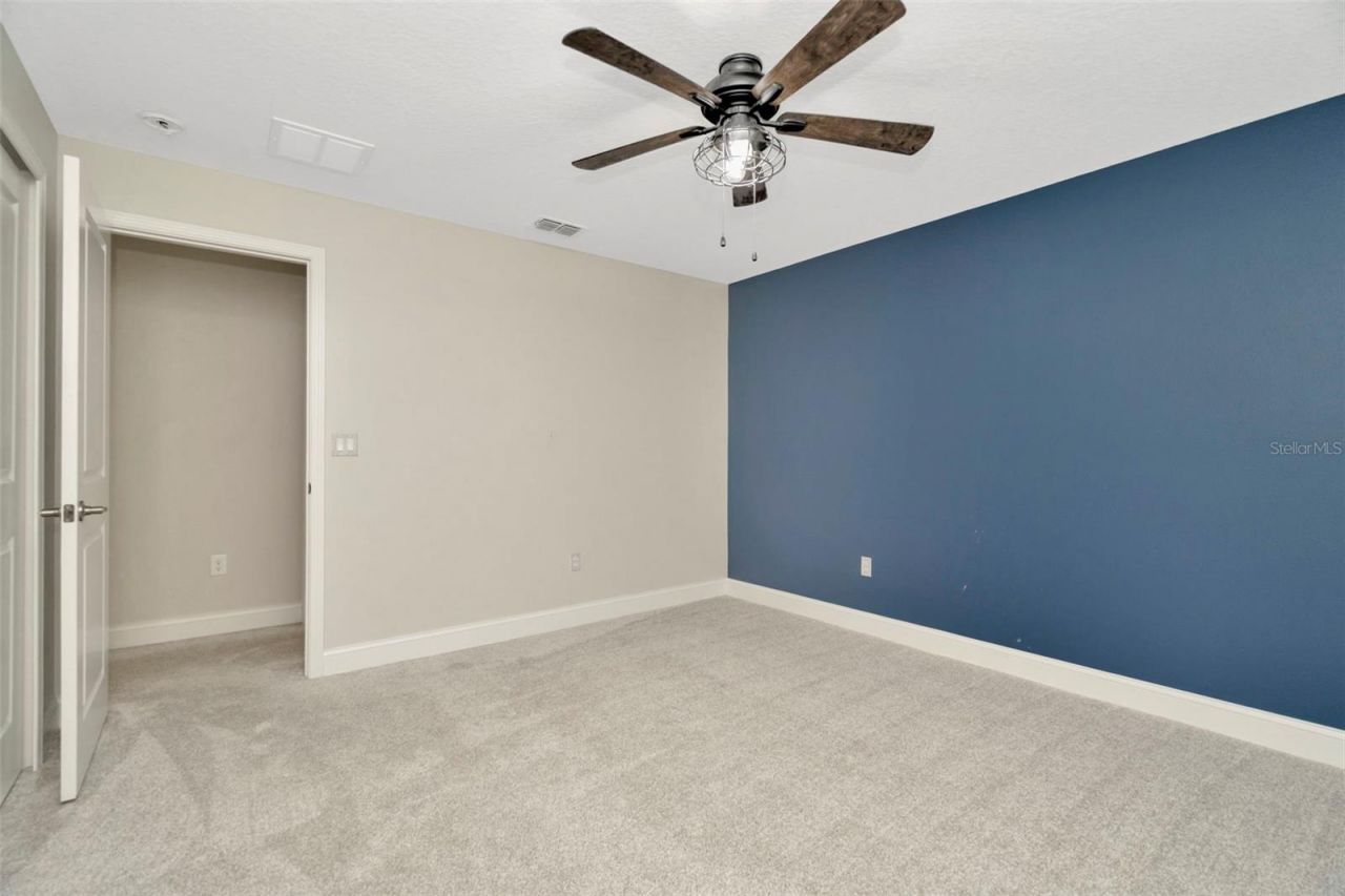 28516 Tranquil Lake Circle, Wesley Chapel, FL 33543 Photo