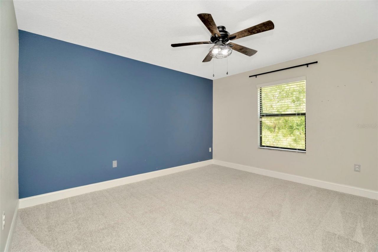 28516 Tranquil Lake Circle, Wesley Chapel, FL 33543 Photo