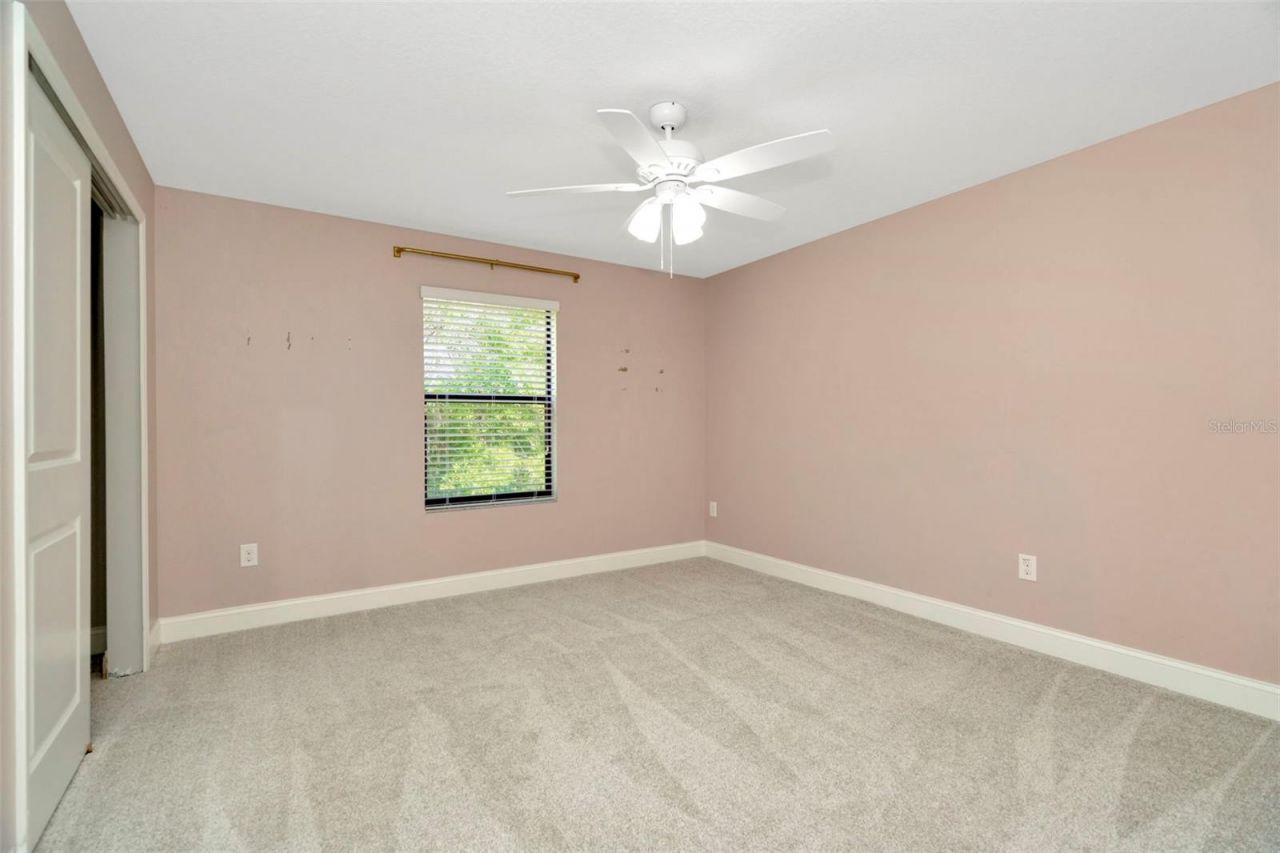 28516 Tranquil Lake Circle, Wesley Chapel, FL 33543 Photo