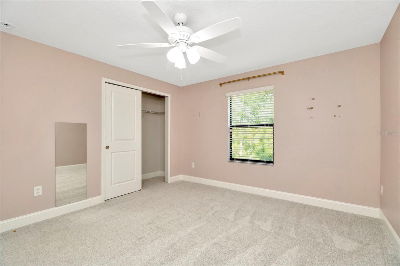 28516 Tranquil Lake Circle, Wesley Chapel, FL 33543 Photo
