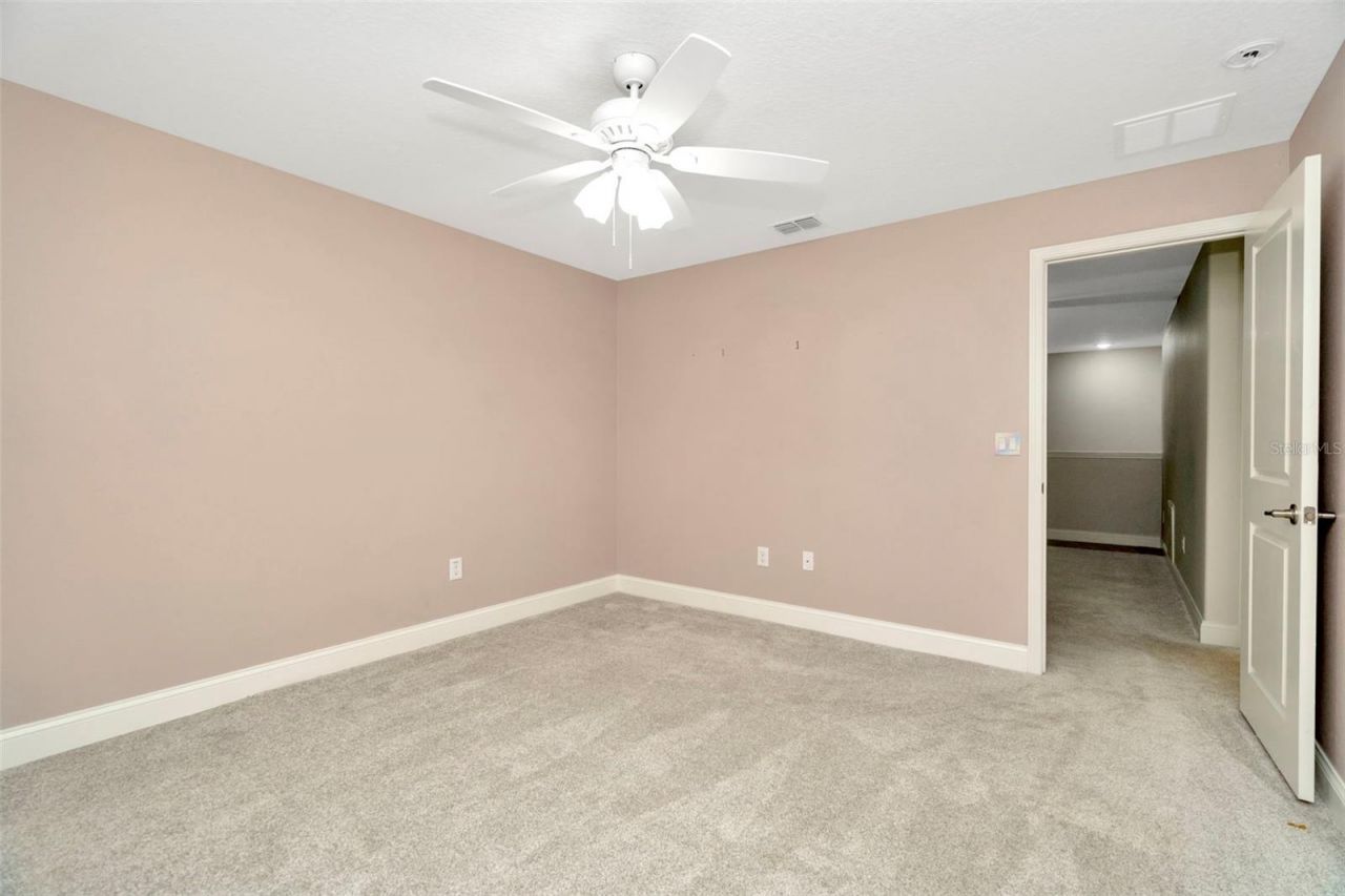 28516 Tranquil Lake Circle, Wesley Chapel, FL 33543 Photo