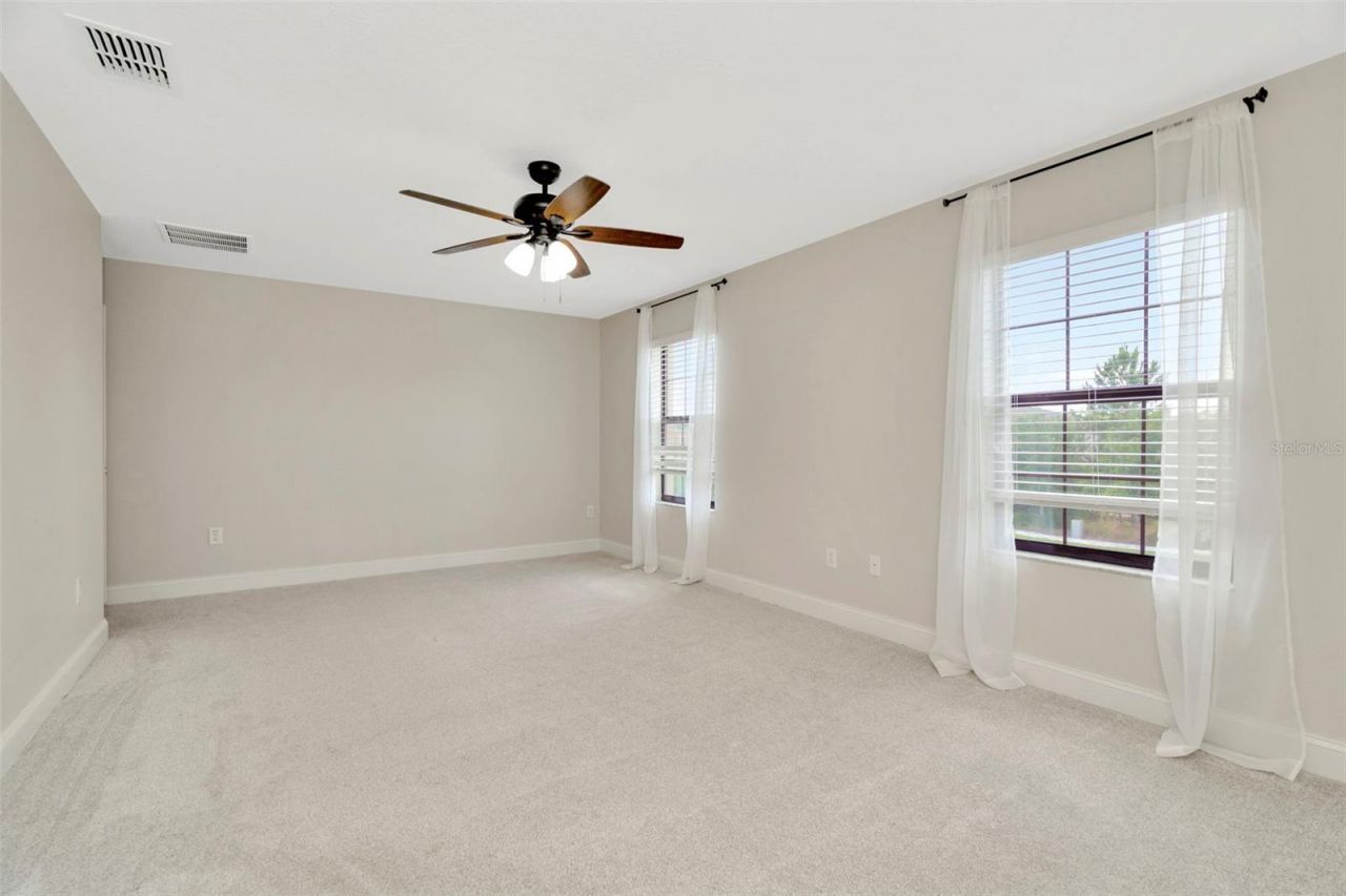 28516 Tranquil Lake Circle, Wesley Chapel, FL 33543 Photo