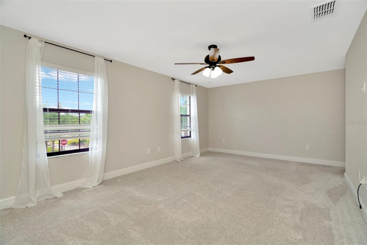 28516 Tranquil Lake Circle, Wesley Chapel, FL 33543 Photo