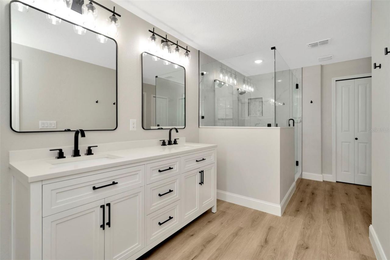 28516 Tranquil Lake Circle, Wesley Chapel, FL 33543 Photo