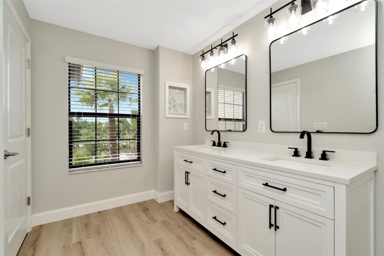 28516 Tranquil Lake Circle, Wesley Chapel, FL 33543 Photo
