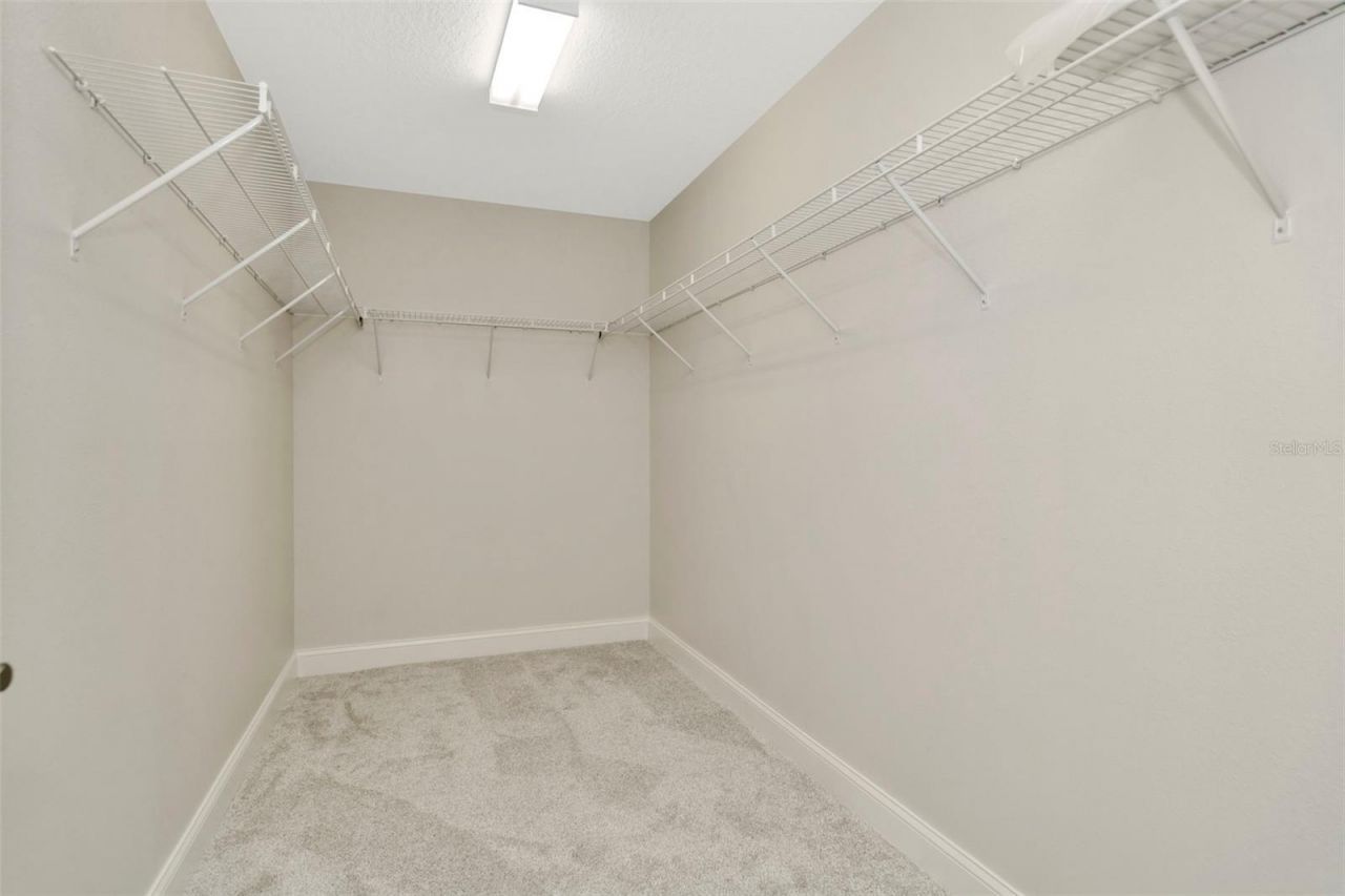 28516 Tranquil Lake Circle, Wesley Chapel, FL 33543 Photo